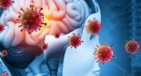 203 Meningitis Cases Reported Across Several Areas